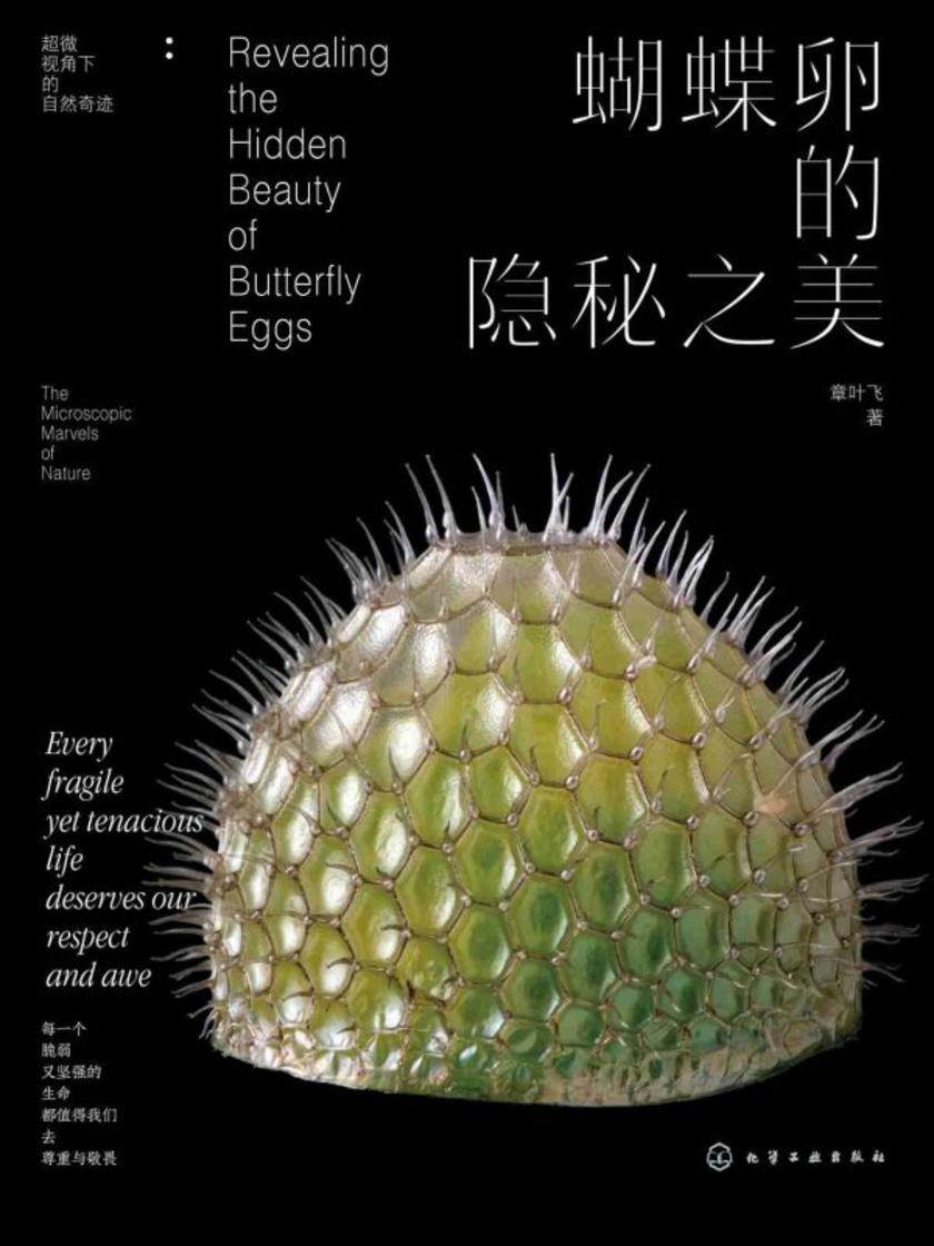 蝴蝶卵的隐秘之美(典藏版)