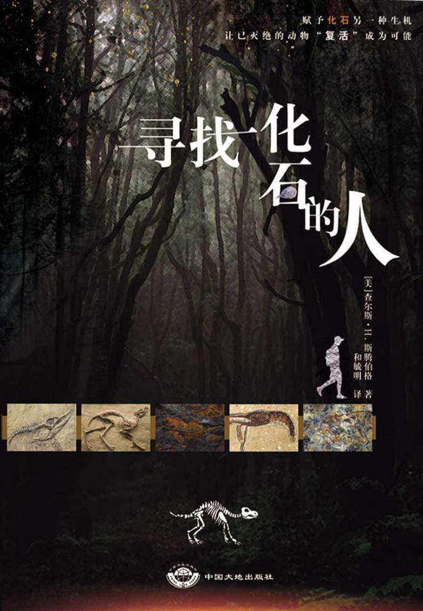 寻找化石的人