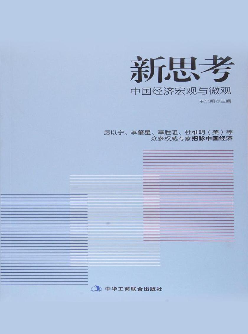 新思考：中国经济宏观与微观