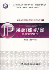 多维视角下我国知识产权的刑事保护研究(武汉大学刑事法研究中心学术丛书3)(试读本)