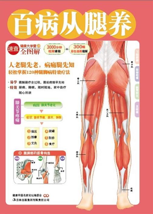 百病从腿养(健康大学堂)