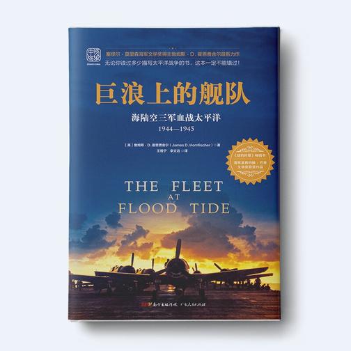 巨浪上的舰队