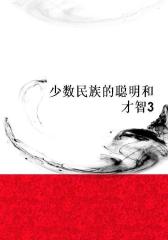 少数民族的聪明和才智3