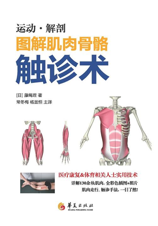 图解肌肉骨骼触诊术