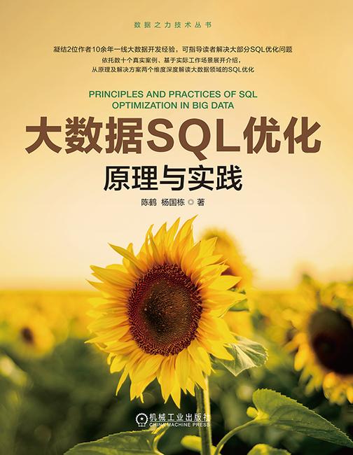 大数据SQL优化:原理与实践