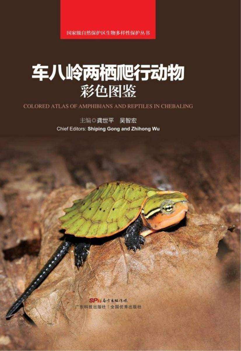车八岭两栖爬行动物彩色图鉴(*自然保护区生物多样性保护丛书)