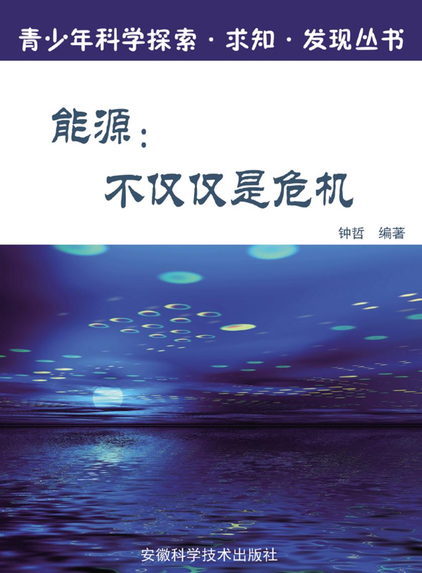 能源：不仅仅是危机