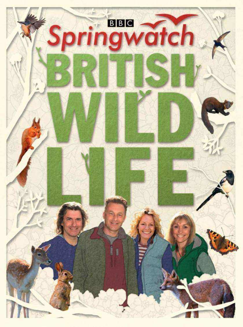 Springwatch British Wildlife：Accompanies the BBC 2 TV series