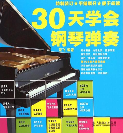 30天学会钢琴弹奏(附1DVD光盘)