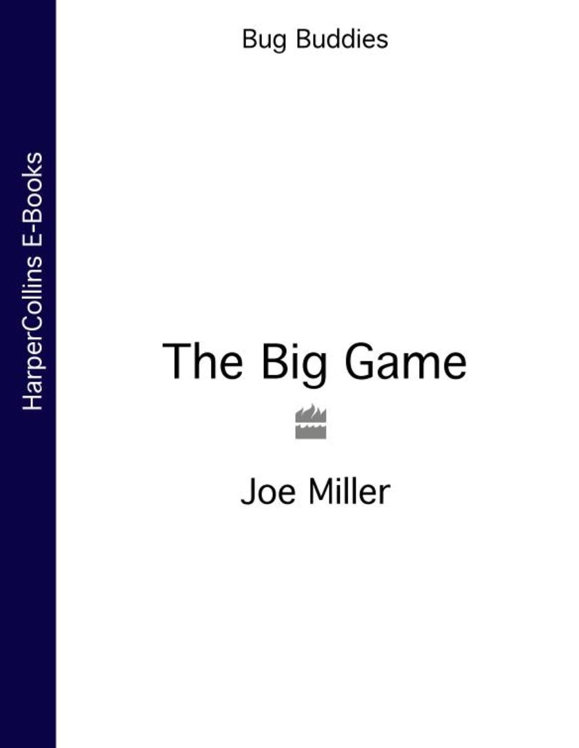 The Big Game (Bug Buddies, Book 1)