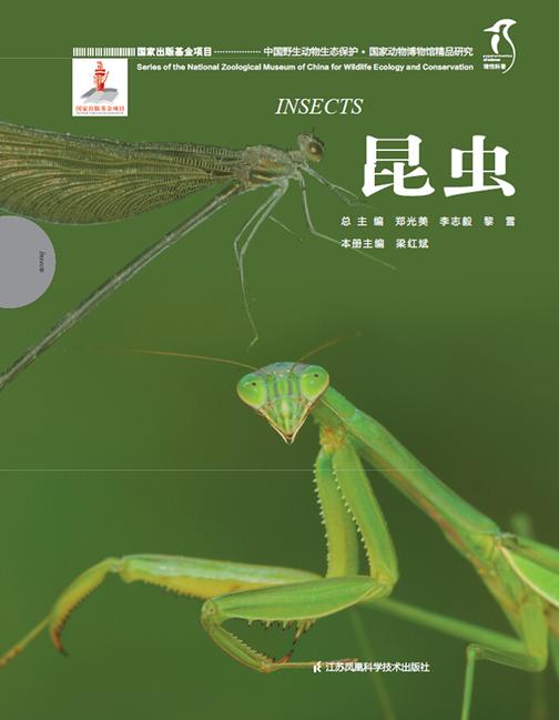 国家动物博物馆精品研究——昆虫