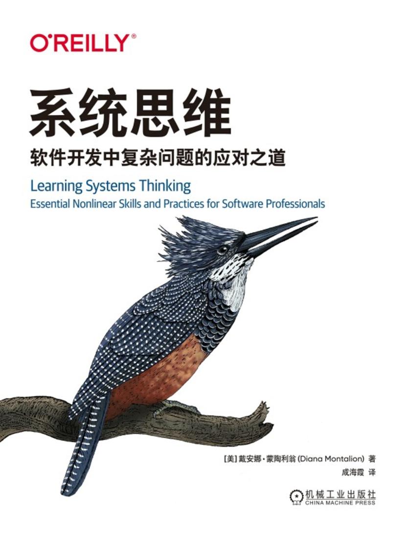系统思维:软件开发中复杂问题的应对之道