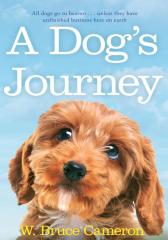 A Dog's Journey #2