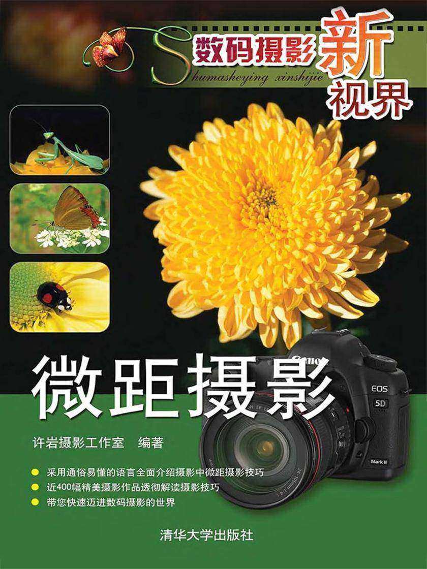 数码摄影新视界——微距摄影