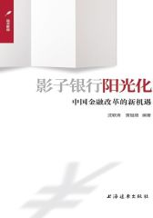 影子银行阳光化——中国金融改革的新机遇