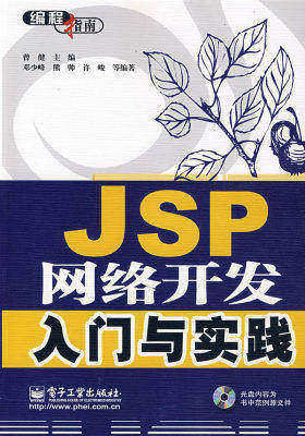 JSP网络开发入门与实践(含光盘1张)(试读本)