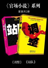 官场小说系列(套装共2册)