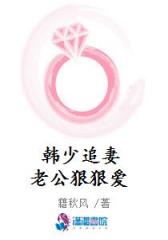 韩少追妻：老公狠狠爱