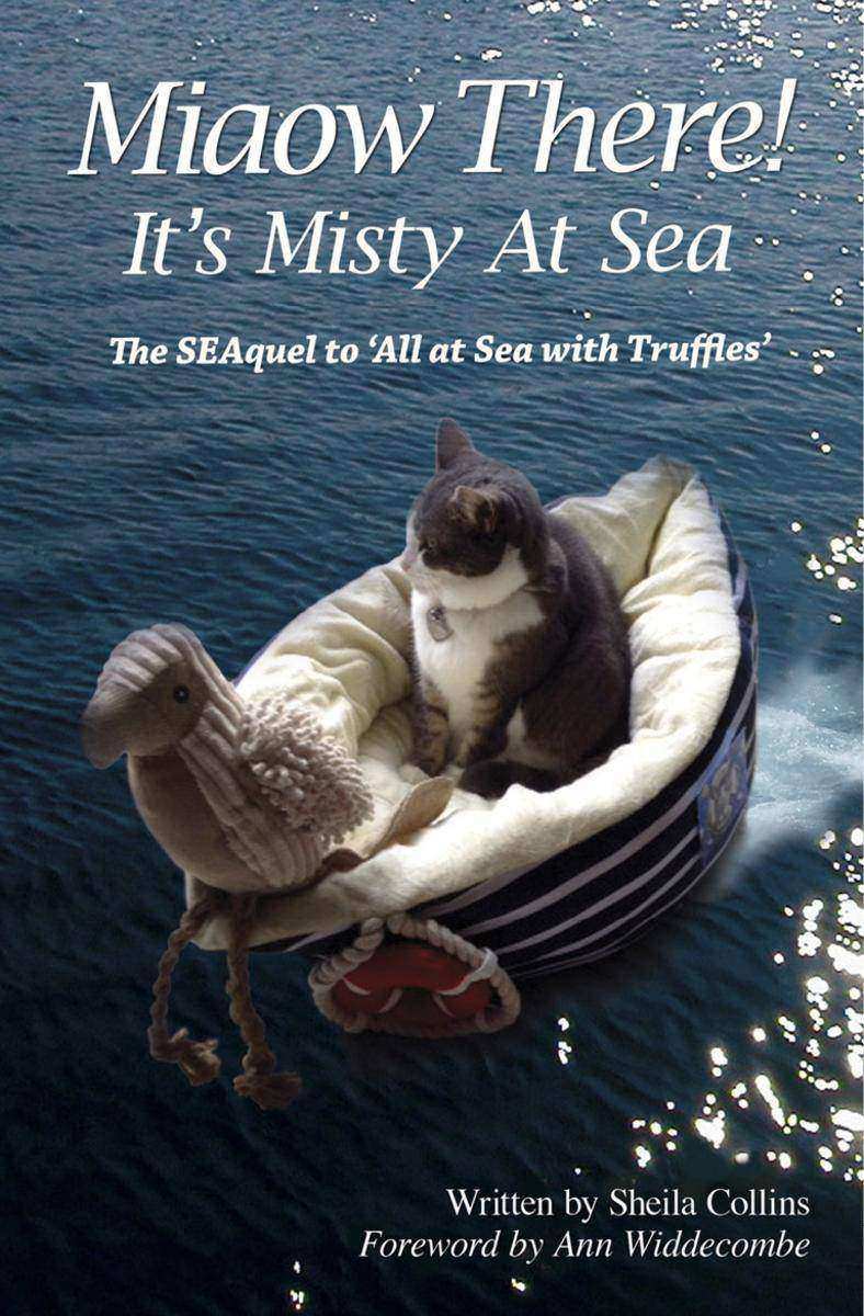 Miaow There!