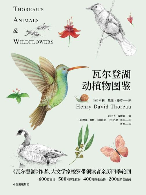 瓦尔登湖动植物图鉴：动物篇+植物篇(2册)