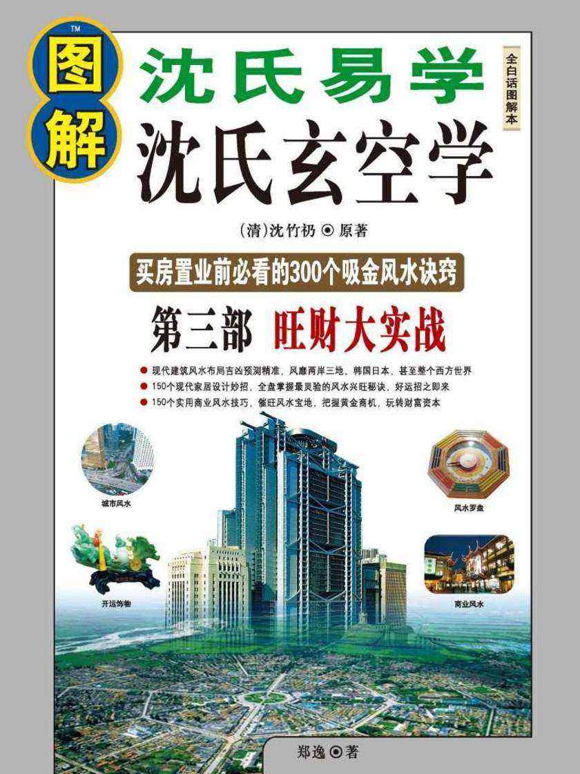 图解沈氏易学沈氏玄空学第三部:旺财大实战