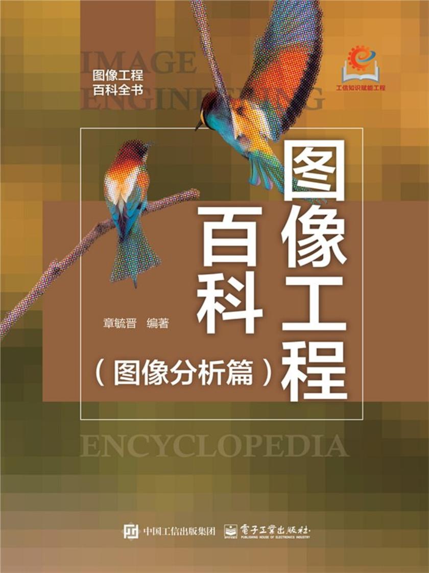 图像工程百科(图像分析篇)