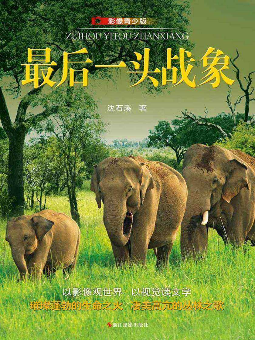 最后一头战象：影像青少版