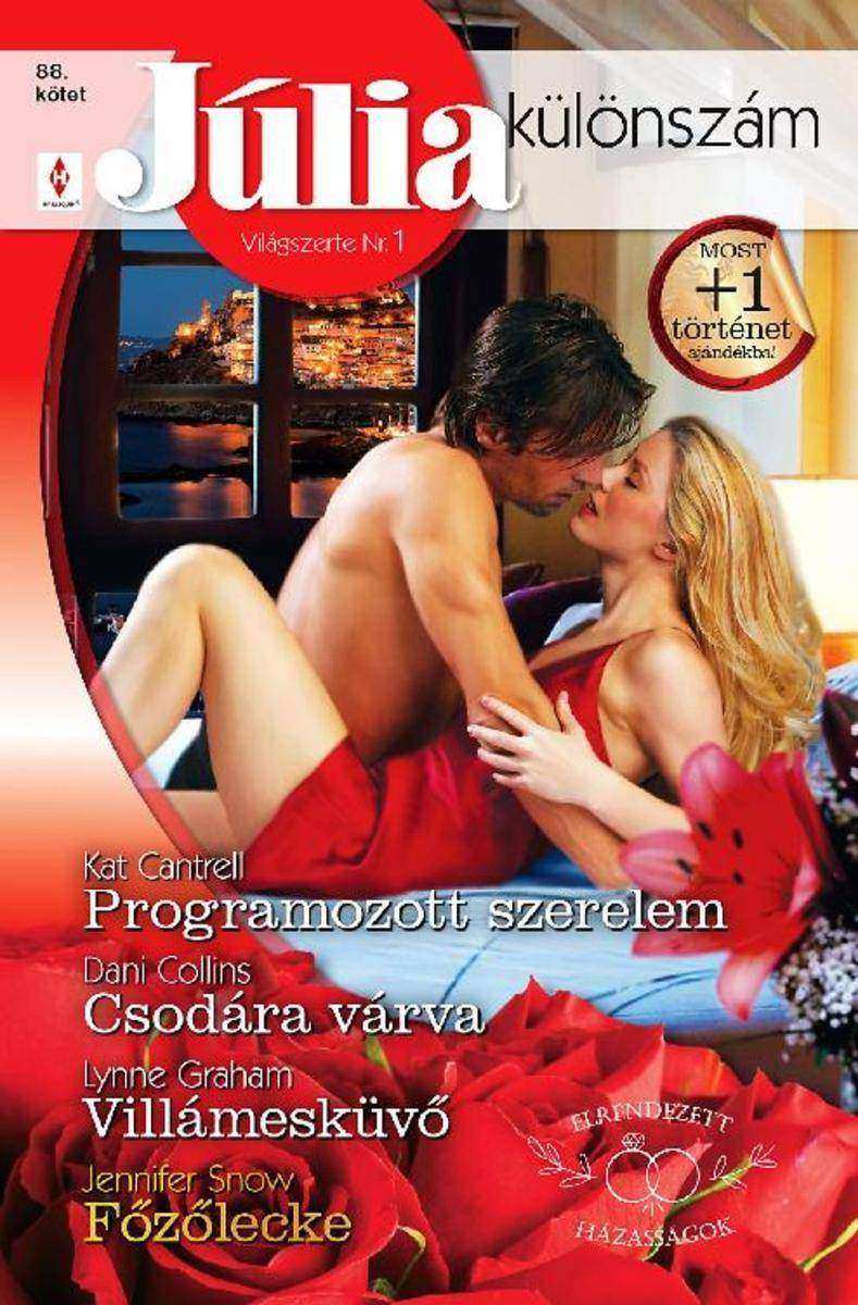 Programozott szerelem (Elrendezett házasságok 3.)