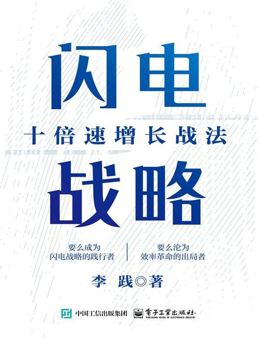 闪电战略:十倍速增长战法
