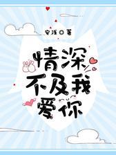情深不及我爱你