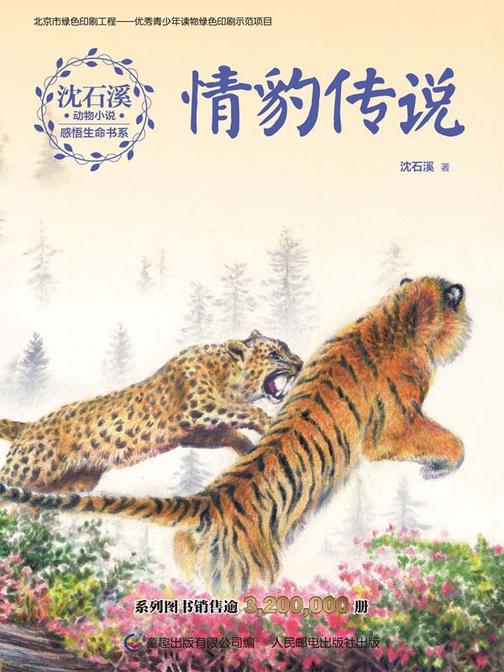 情豹传说