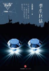 孪生巨钻（梦想家系列，银河奖科幻作家王晋康力作）