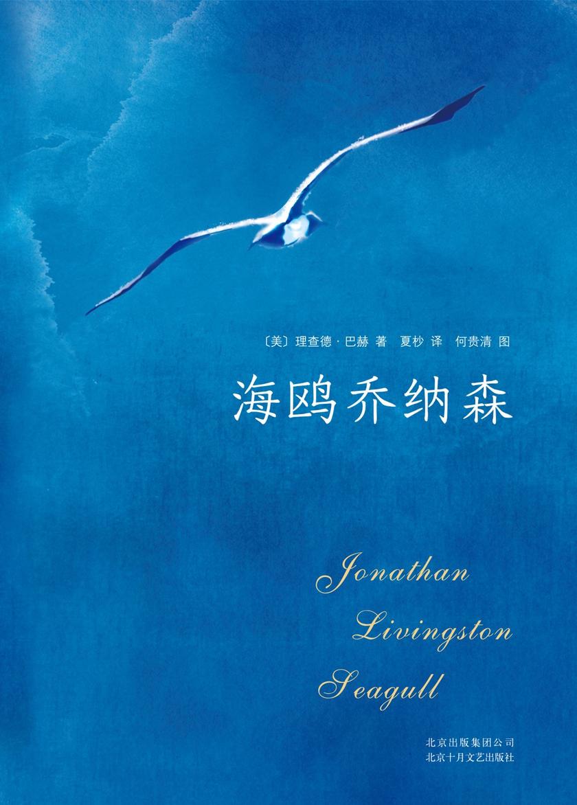 海鸥乔纳森(创美国百年畅销纪录的现象级奇迹之书。为梦想全力以赴，是一件无比幸福的事情！)