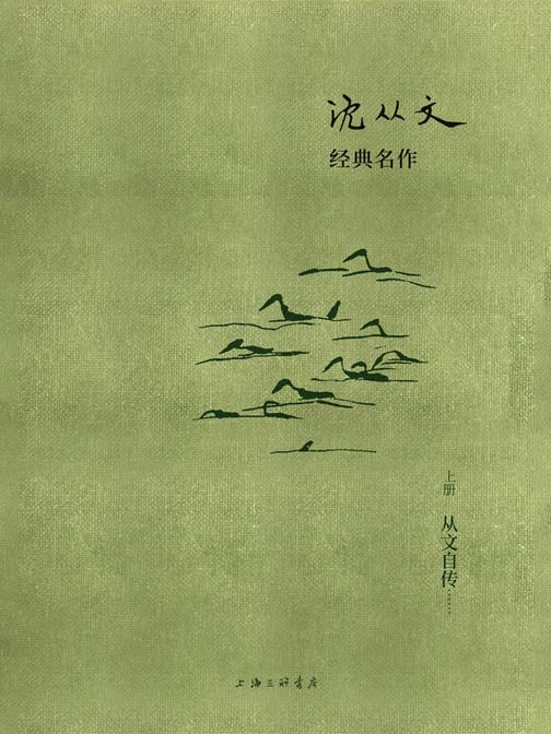 沈从文经典名作：从文自传(上册)
