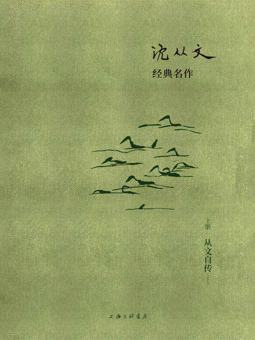 沈从文经典名作:从文自传(上册)