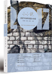 2017中国年度小小说(试读本)