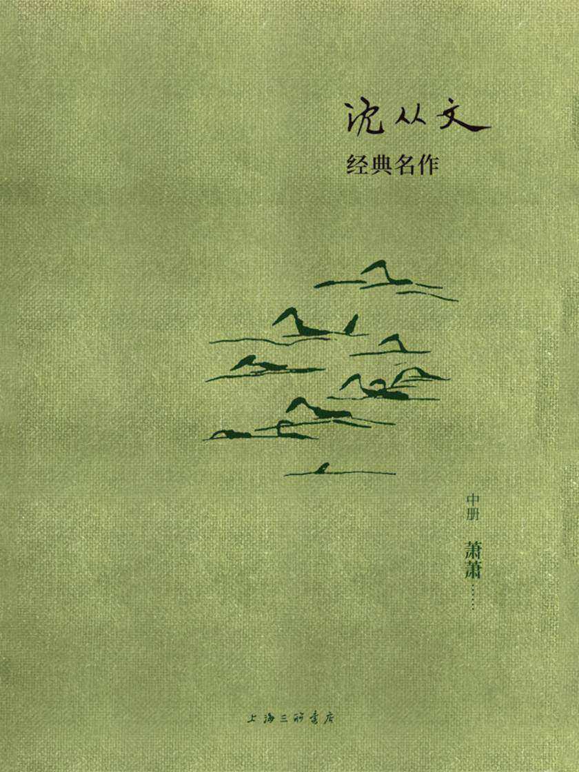 沈从文经典名作:萧萧(中册)