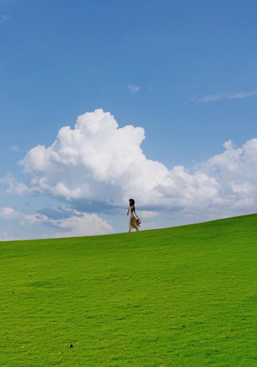 测试品勿下单不发货