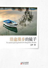 沿途漫步的镜子