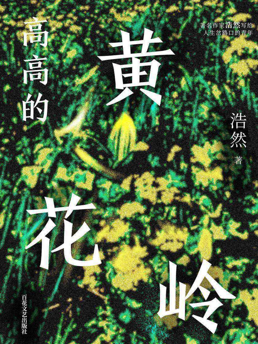 高高的黄花岭