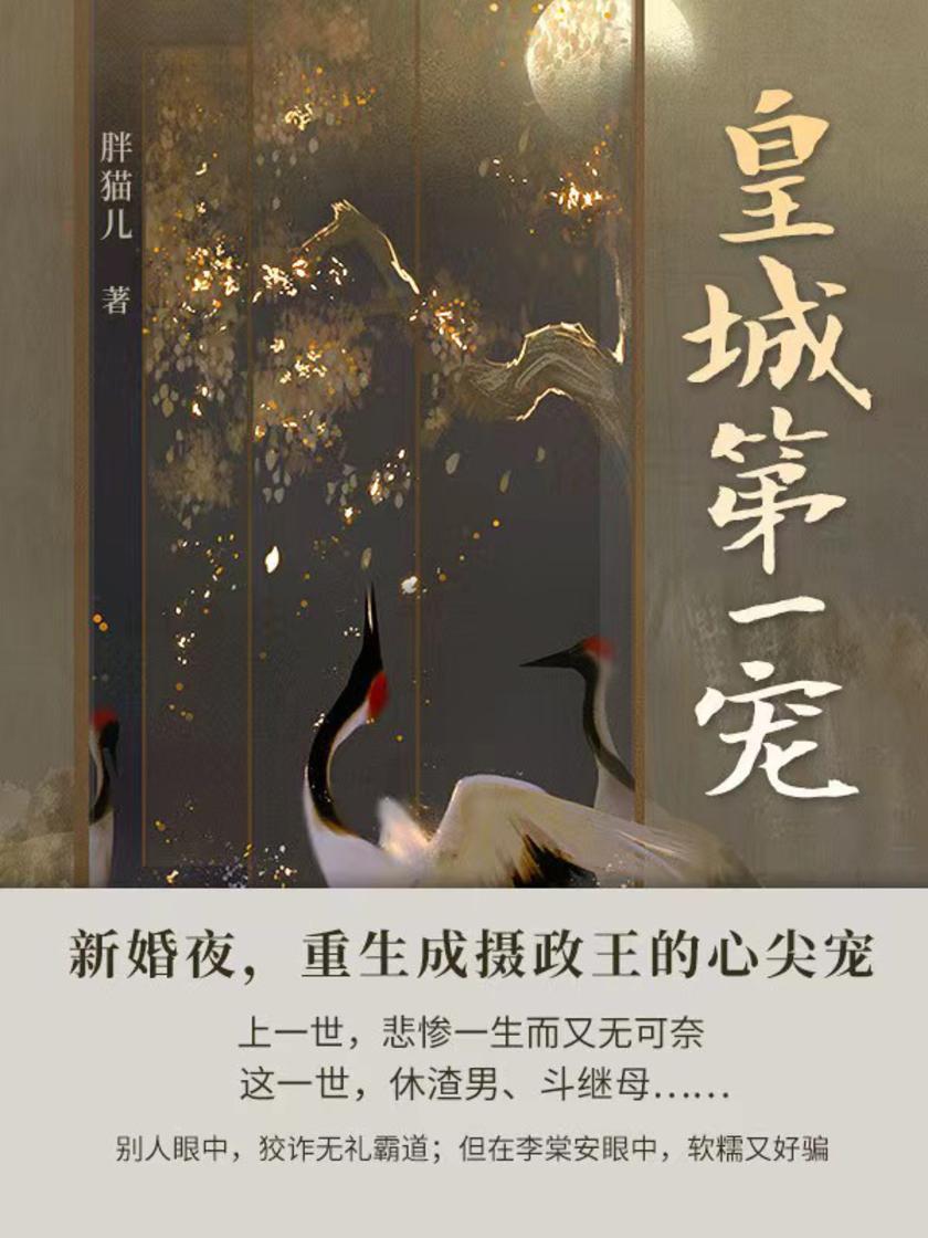 皇城第一宠(第4卷)