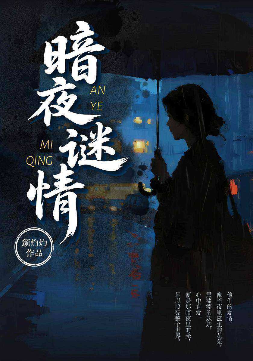 暗夜谜情