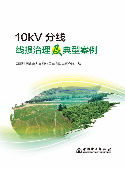 10kV分线线损治理及典型案例