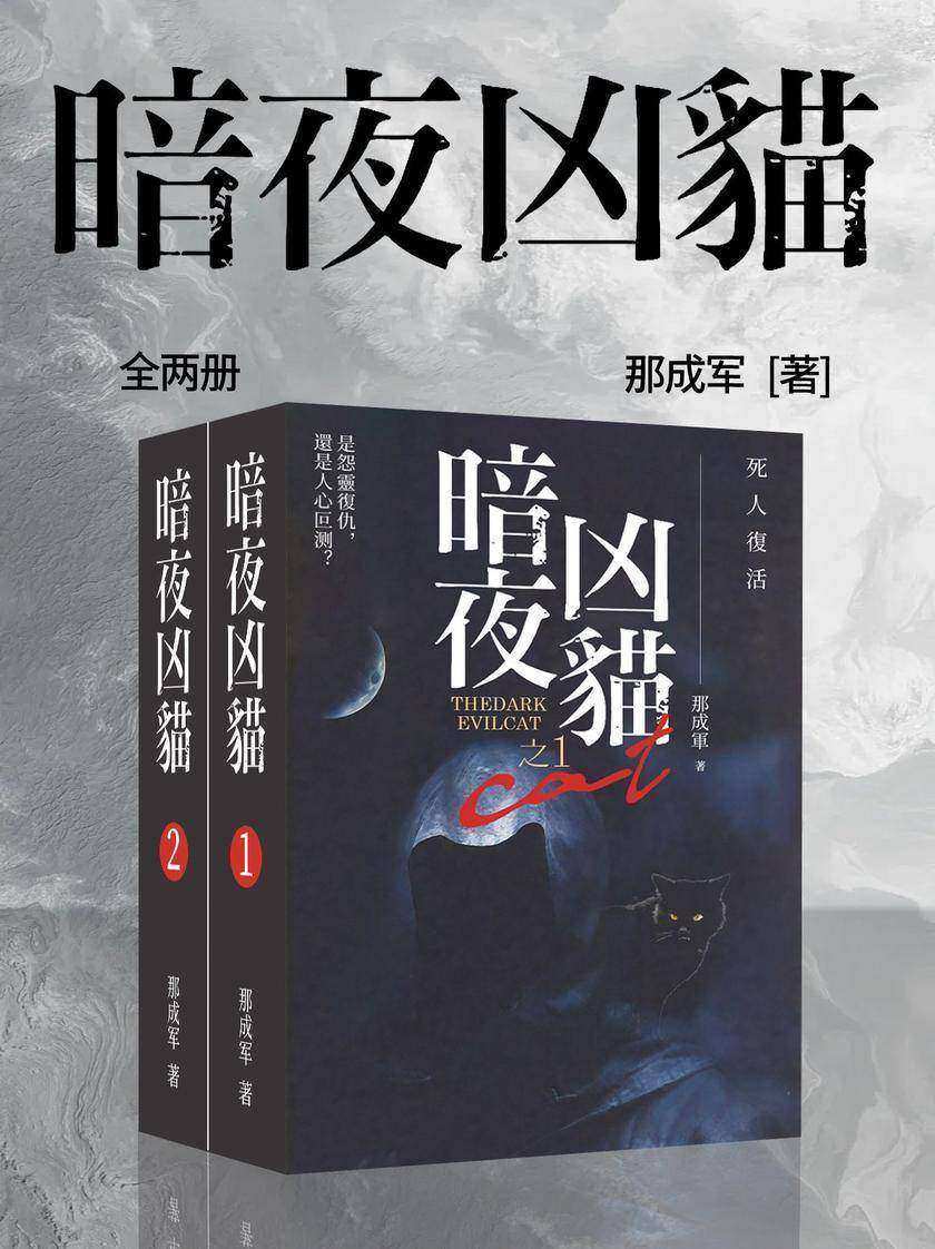 暗夜凶猫(全两册)