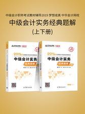 中级会计职称考试教材辅导2019 梦想成真 中华会计网校 中级会计实务经典题解 (上下册)