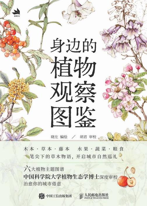 身边的植物观察图鉴