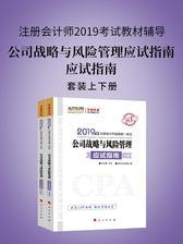 注册会计师2019考试教材辅导 中华会计网校 梦想成真系列辅导 公司战略与风险管理应试指南(上下册)
