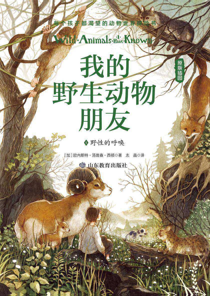 我的野生动物朋友5:野性的呼唤