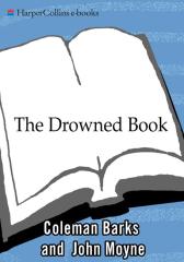The Drowned Book