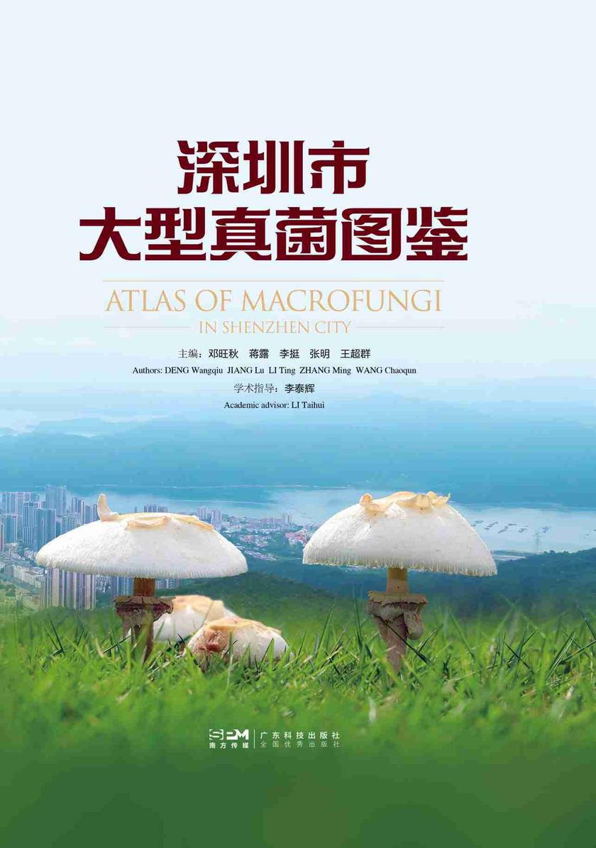 深圳市大型真菌图鉴